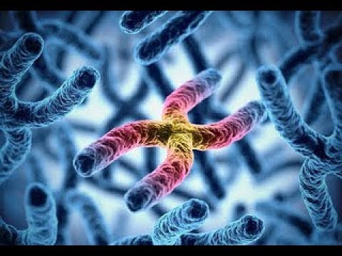 DNA, The Books of Life and the Gospel in Our Blood