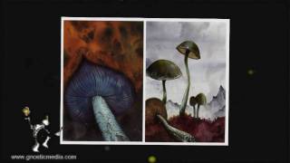 Mushroom Magick - An Interview with Arik Roper