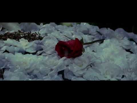 Daredevil | Evanescence - Bring Me to Life