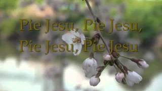 Pie Jesu   Hayley Westenra