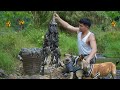 CEO Leaves The City Catches Wild Frogs To Sell At The Market The Free Life Everyone Dreams Of