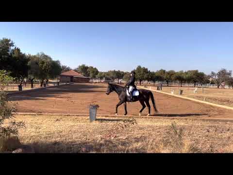 Marlanie Wilkinson, Ollie, Adult Prelim 1, July 2021