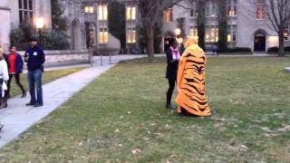 Princeton Tiger runs to turn in Paper for Dean's Date!
