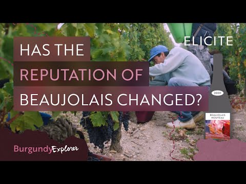 What is Beaujolais Wine? Breaking Down The Region