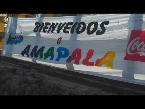 Torres & Su Combo - Tiburon Pequeño