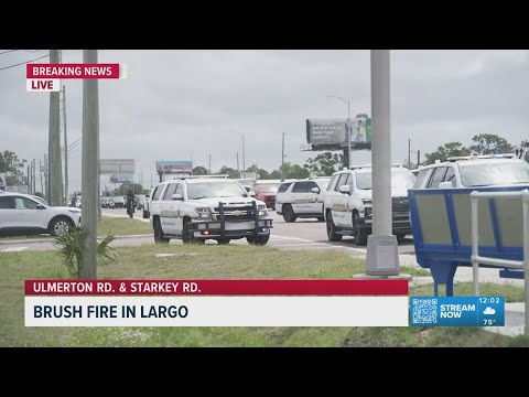 Largo Fl Breaking News