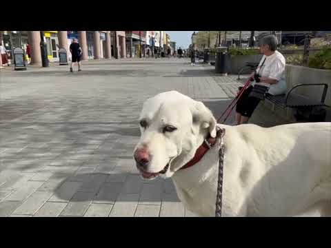 Akun kesäpesä 6 - 25.5.2023