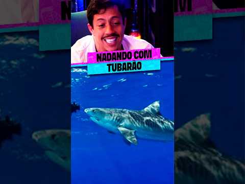 NADANDO COM UM TUBARÃO