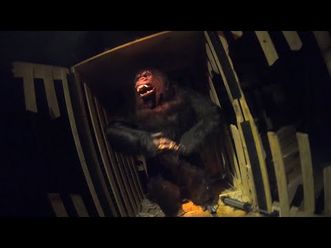 THE MOST UNHINGED DARK RIDE?! Earthquake: The Ride in Gatlinburg, Tennessee