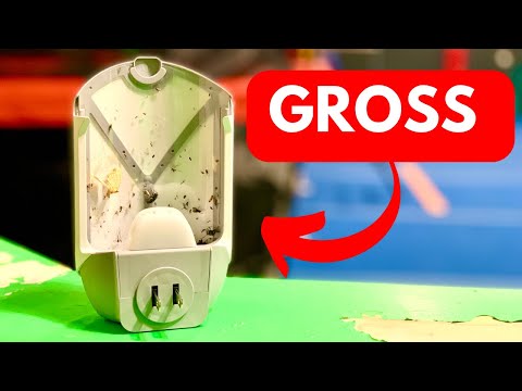 Zevo Flying Insect Trap Review