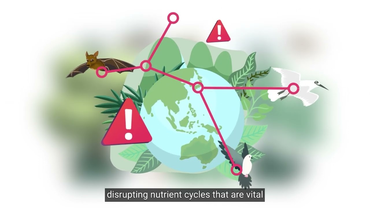 KIwa Initiative - Invasive Species and NbS in the Pacific