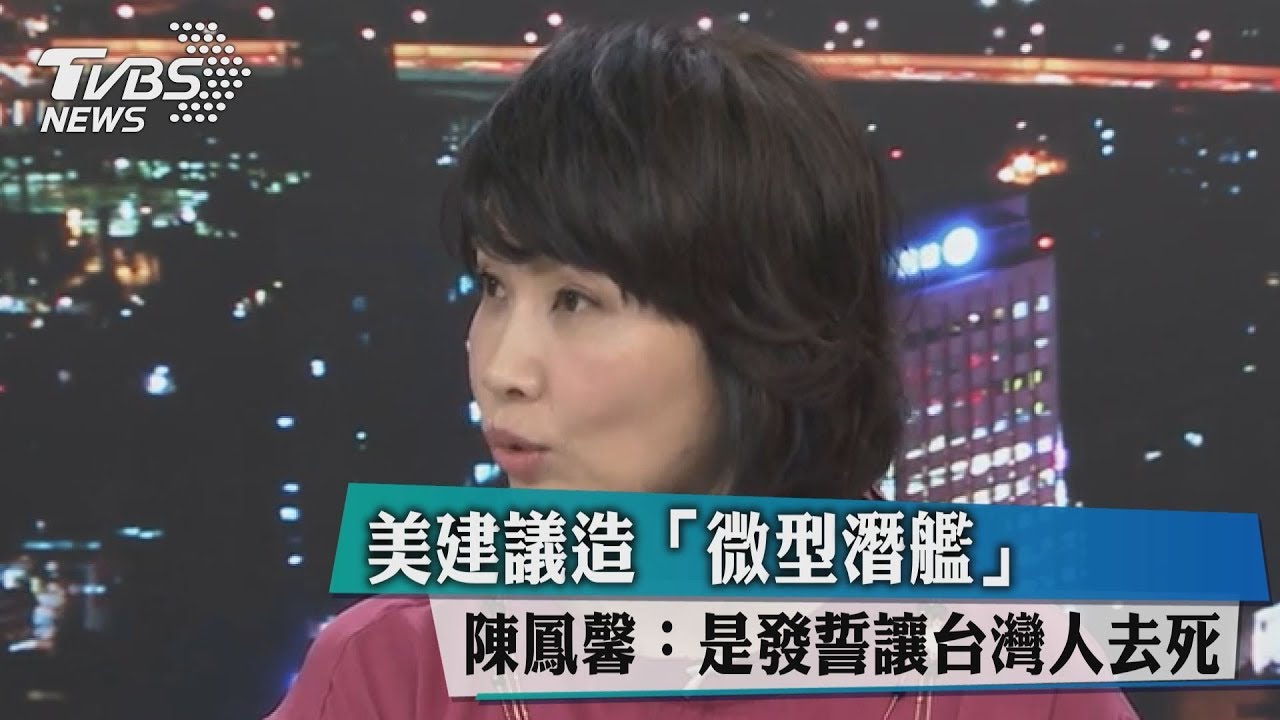 美建議造「微型潛艦」 陳鳳馨:就是發誓讓台灣人去死