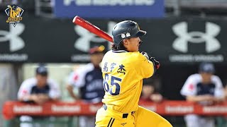 [分享] 今晚豪勁劇情