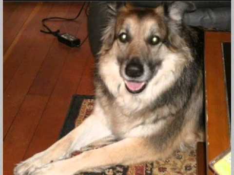 HAPPY BIRTHDAY !  STEPHANIE, FROM ESSEX