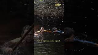 Download lagu WASH YOUR FACE AND DRINK A MILLION ROOTS OF WATER mp3 Download lagu WASH YOUR FACE AND DRINK A MILLION ROOTS OF WATER mp3