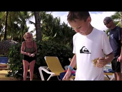 Dominican Republic 2012