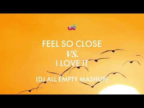 Feel So Close x I Love It (DJ All Ëmpty Mashup) | Calvin Harris & Icona Pop