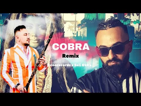 Denorecords x Sali Okka - Cobra | ReMix | Cobra (Bulgarian folk-pop)
