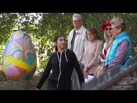 InSite 2024 Overview