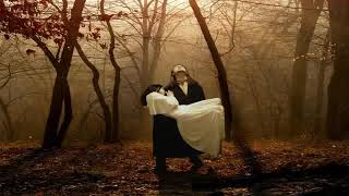 Elvis Costello   Gloomy Sunday