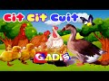 Cit Cit Cuit ❤️ Lagu anak indonesia  Burung Ayam Dan Bebek