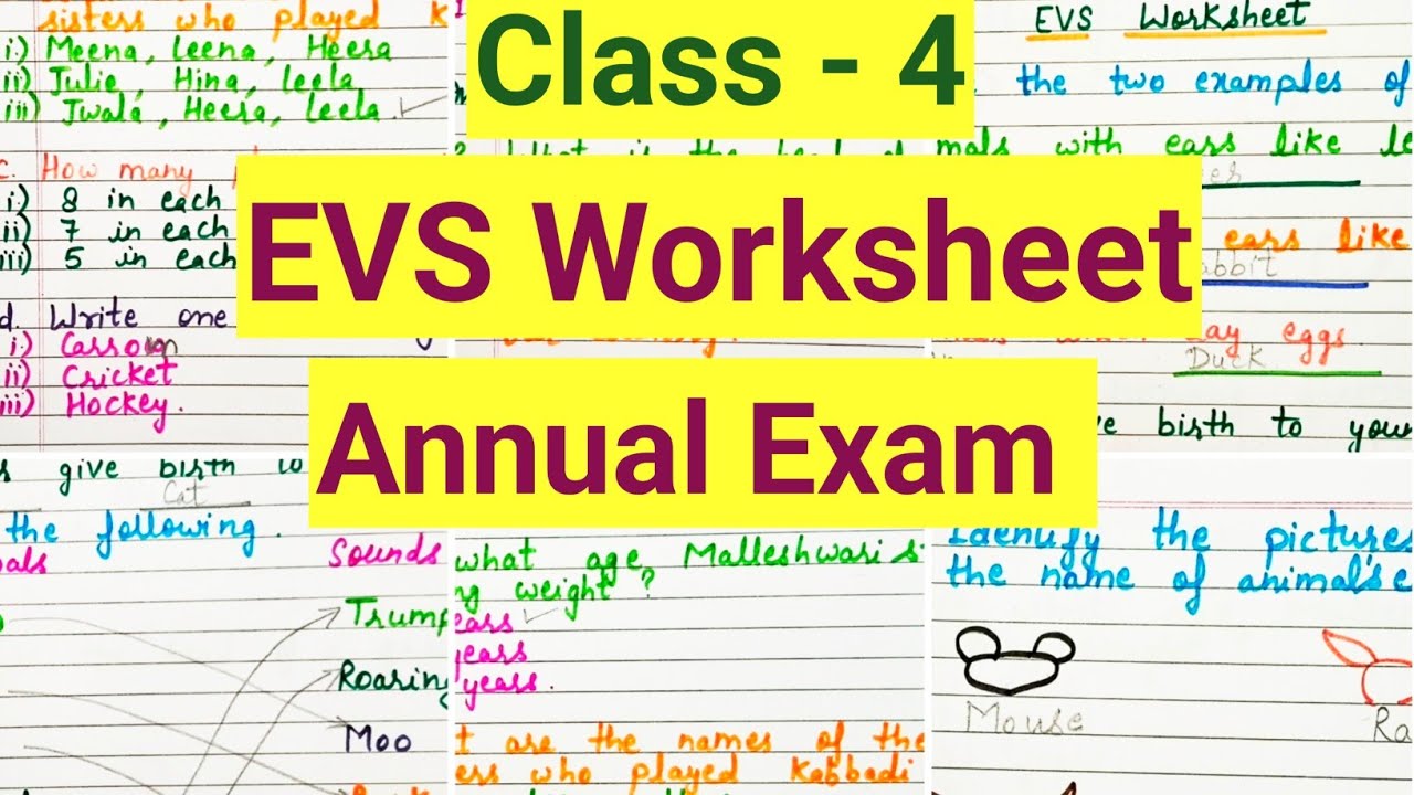 Class 4 evs half yearly exam Question Paper 2024-25 | Class 4 Exam Paper evs worksheet | part 2