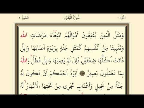 44.DERS | KURANI KERİMİ YAVAŞ VE TECVİTLİ OKUMA DERSLERİ | BAQARA 265-269 | SURAH AL BAQARA READİNG