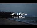 Thomas LaRosa Like A Dream Lyrics She Looks Just Like A Dream