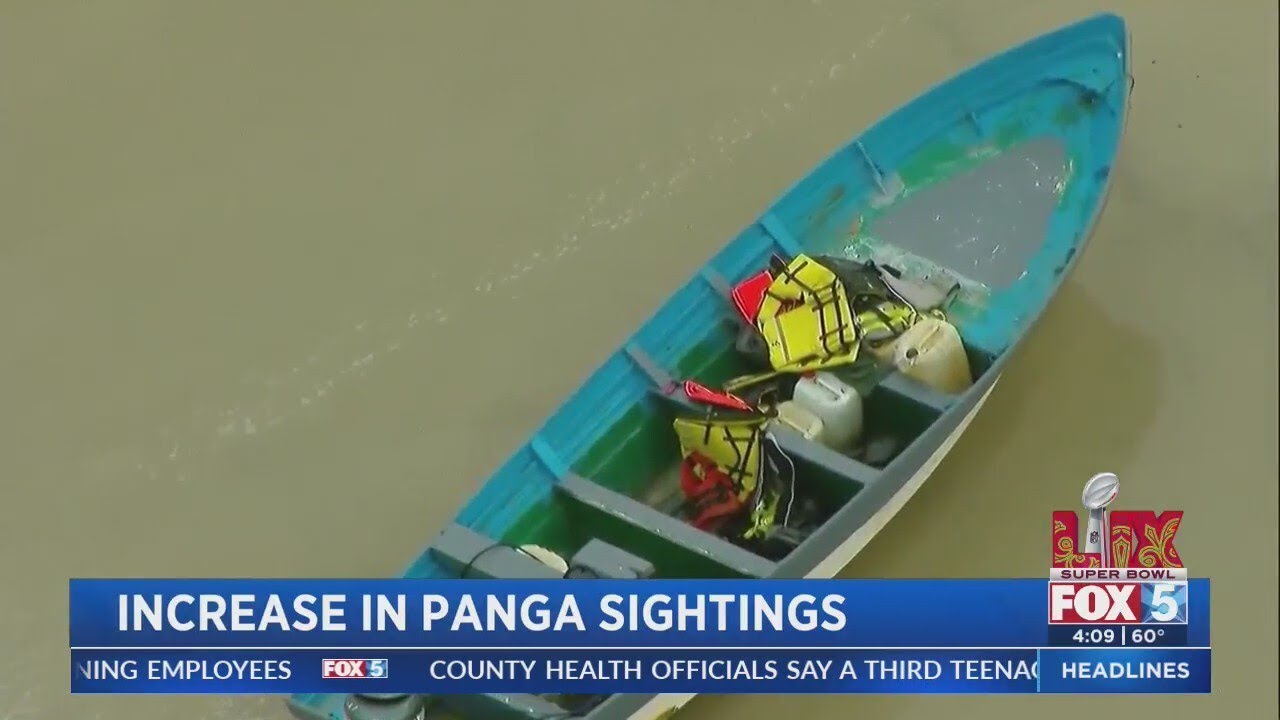 Increase in panga sightings in San Diego County