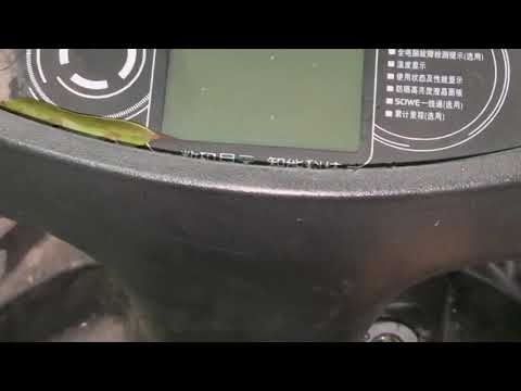 Party on the beach 🏖