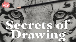 Want to Learn the Secrets of Drawing?