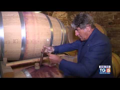 Gusto Divino / TG5 / Gioacchino Bonsignore intervista Stefano Antonucci