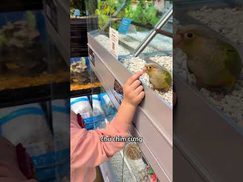 Mua cho cô bé con chim đó đi 🥹