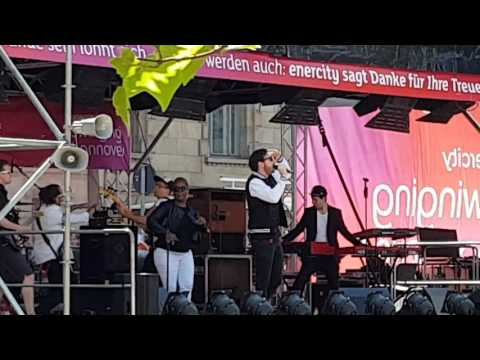 Pimpy Panda LIVE Funk & Soul & Jazz in Hannover