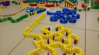 2,500 דומינו ראלי!! הפרויקט המדהים! CRAZY DOMINO