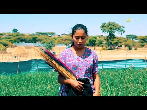 Buraka  Fininsa(Bure) - Hulansibana - New Ethiopian Oromo Music 2019 [Official Video]