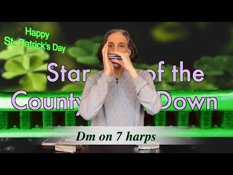 How to Play This Irish Song in Dm on 7 Harps | Star of the County Down | Howard Levy Harmonica