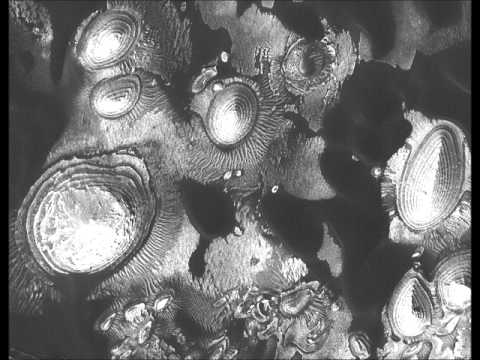 Top 40 Hits Of 1946 27 Bing Crosby And The Andrews Sisters South America, Take It Away!