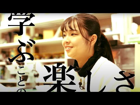 【工学部】2分でわかる！KUAS工学部