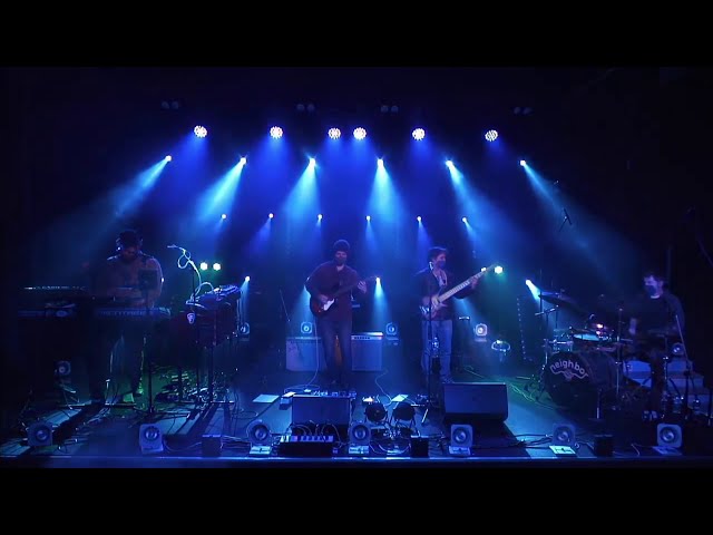 Chickens Video