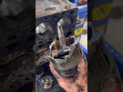 Thumbnail for A blown up old Ford Y block in a 1962 F150. Customer hopes we can resurrect it #carrepair #autoshop by Car