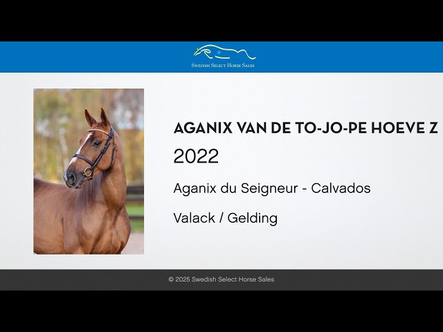 Aganix van de To-Jo-Pe Hoeve Z - Free jumping