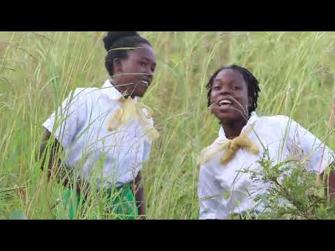 Ndife Alendo ...Chisomo Baptist Church Choir (Heaven Stars)