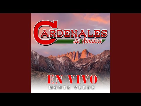 Mayor de Edad (En Vivo)