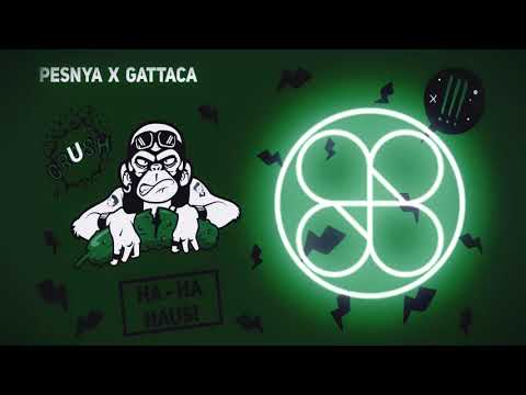 Konstantin Pesnya, GATTACA - Ha Ha Haus