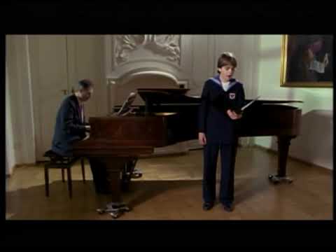 Terry Wey - An die Musik - Schubert - L'or des anges