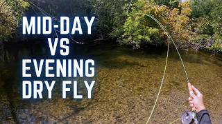 AMAZING Dry Fly Trout Action | Mid-day VS Early Evening Fly Fishing