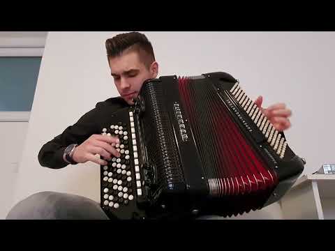 Mata Pavić - harmonika mix,2021.