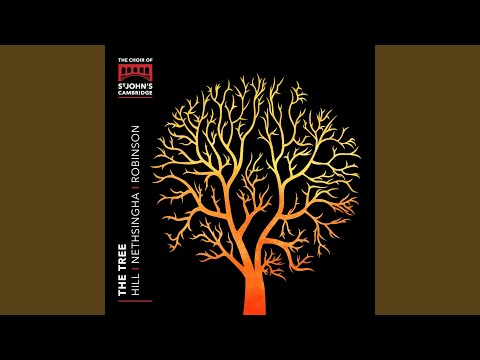 A Hymn for St Cecilia