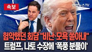 [????속보] 트럼프, 나토 수장에 '폭풍 분풀이'…비난·모욕적 발언 쏟아내│트럼프 격앙 해소 계기…시기적절 평가도/ 연합뉴스TV(YonhapnewsTV)